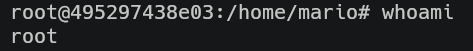 una vez dentro de su TUI (terminal user interface) ejecutamos el comando