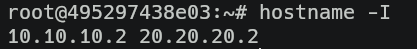 una vez dentro de su TUI (terminal user interface) ejecutamos el comando