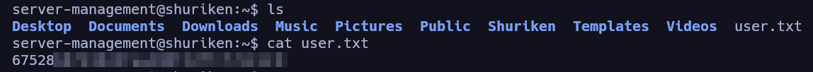 User Pivoting
